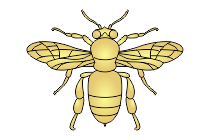 biene