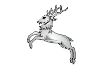 hirsch