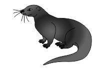 otter