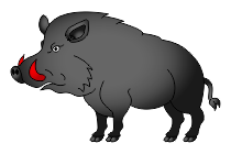 wildschwein